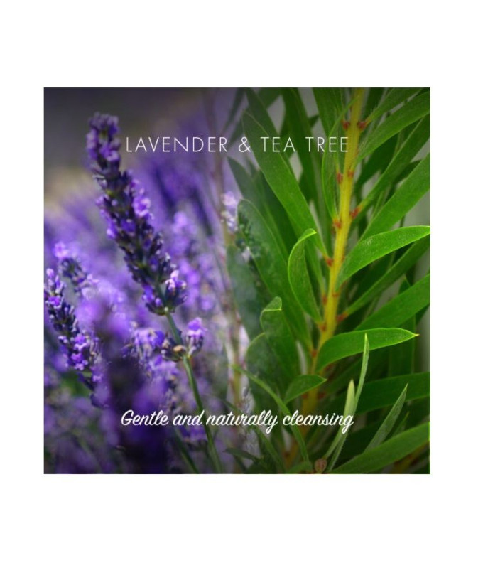  Lavender & Tea Tree Plaukų Kondicionierius Muilas 95g