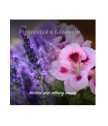  Lavender & Geranium Plaukų Kondicionierius Muilas 95g