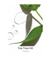 B. Well Tea Tree and Coconut Clean Dezodorantas 52g