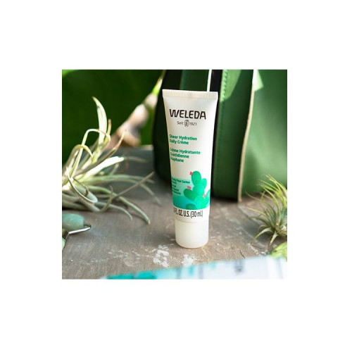  Prickly Pear Cactus Drėkinantis Veido Kremas 30ml