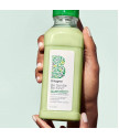 Be Gentle, Be Kind Kale + Apple Replenishing Superfood Kondicionierius 369ml