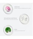 Wonder Ceramide Mocchi Toner 500ml